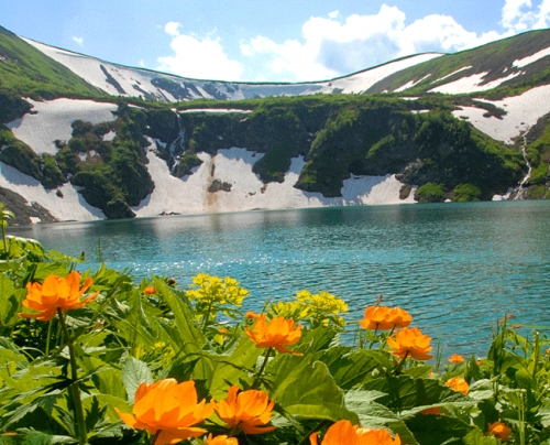 У подножия верхнего озера в разгар лета цветут жарки. Удивительное яркое зрелище на фоне ледников